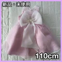 Item thumbnail for item e6685ef0-169c-456f-980f-6de0a3e189dd