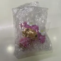 マイメロ　トコナツ