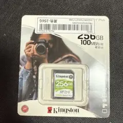 Kingston Canvas Select Plus 256GB