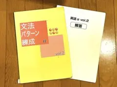 【最新版・新品・未使用】文法パターン錬成・オリジナルテキストセット 2025年最新】文法パターン錬成の人気アイテム - メルカリ