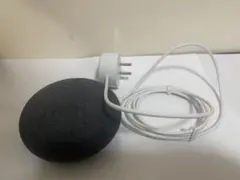 Google Home Mini