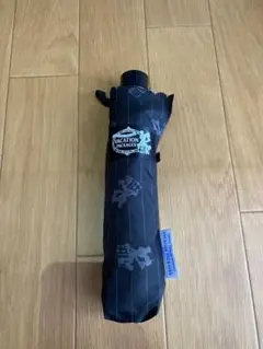 バケーションパッケージ 傘 晴雨兼用