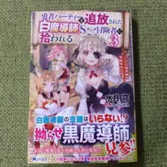 勇者パーティーを追放された白魔道士Ｓランク冒険者に拾われる３