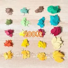 【限定販売③】クラフトパンチ　秋の葉っぱ　200枚　もみじ　いちょう　アルバム