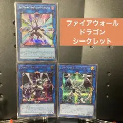 ファイアウォールドラゴン:シク
