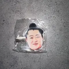 遠藤関　フェイスヘアピン