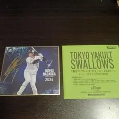 長岡秀樹選手 東京ヤクルトスワローズ トレーディングmini色紙 2024