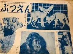 昭和25年 『小学三年の学習』ふろく「りかごよみ」「かわいいどうぶつえん」学研
