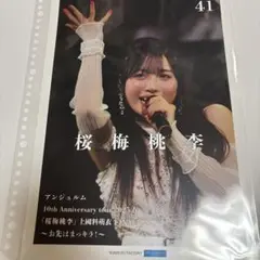 アンジュルム 伊勢鈴蘭 ピンポス