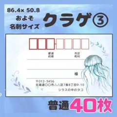 【クラゲ③】宛名シール　差出人シール　普通サイズ　40枚　シンプル　海　魚