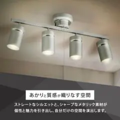 【電球セット】４灯シーリングライト ストレートタイプ プルスイッチ式 シルバー