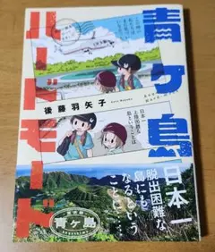 青ヶ島ハードモード～都内の離島に行ってきました～