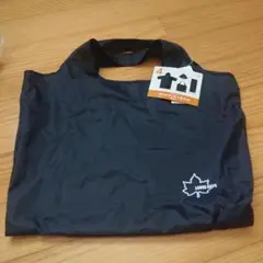 Item thumbnail for item 4bb4373f-4448-4c04-ba08-433f8336a6eb
