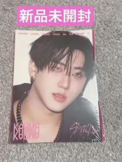 新品未開封　Stray Kids　チャンビン KARMA アルバム