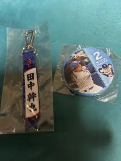 中日ドラゴンズ田中幹也選手セット