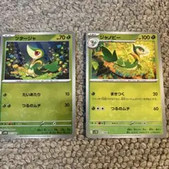 ツタージャとジャノビー モンスターボールミラーセット