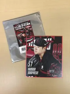 山田修義 オリックスバファローズ 夏の陣 ミニ色紙