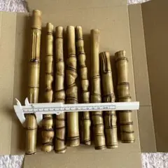 布袋竹ーー2