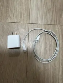 Apple 20W Lightningケーブル