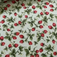 ツイル ミント 1M 苺 生地