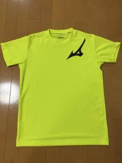 Item thumbnail for item 54e3a648-1cbc-49ab-8ac4-2512353c4ffb