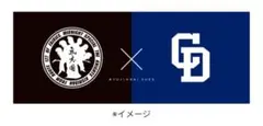 氣志團 × 中日ドラゴンズ コラボ 手ぬぐい 竜陣祭 2025 8/8