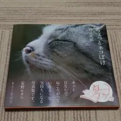 ちょっとネコぼけ