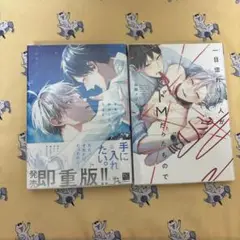 手を伸ばしたら、つばさ 一目惚れした人かドMだったもので