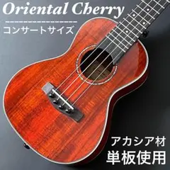 高品質のアカシア材単板!艶あり塗装のコンサートウクレレ【工房調整】