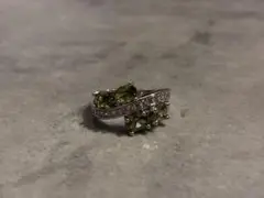 Item thumbnail for item 8e816699-2e28-41ce-a0c6-a2cc5467258e