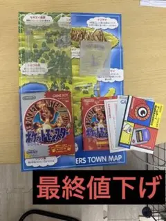 ポケットモンスター赤 ゲームボーイソフト