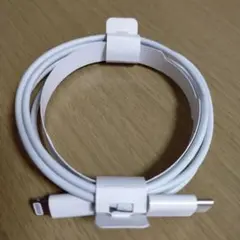 Apple 純正　Lightning to USB-C ケーブル