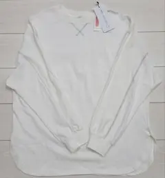 Item thumbnail for item 240735a0-da64-44d3-b5e5-0a369d654a01