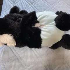 ディズニーティッシュボックスカバー オズワルド・ザ・ラッキー・