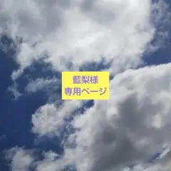 藍梨様 リクエスト 3点 まとめ商品