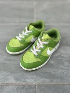 Nike ダンク グリーン 16cm