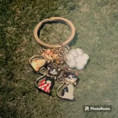 Item thumbnail for item e16c8cdd-d929-4f03-8b10-4ea852c93dc0