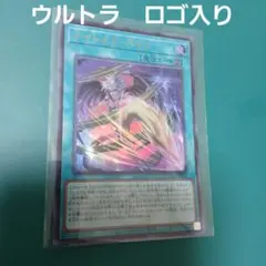 ナイトメア・ペイン　ウルトラ　ロゴあり　遊戯王　WCS2025　リミテッドパック