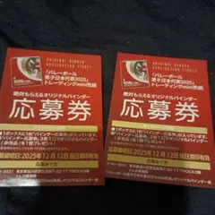 男子バレーボール2枚応募券