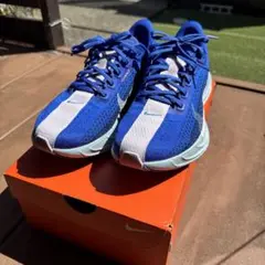 Item thumbnail for item eced3630-6463-498f-840a-19c0ced86b21