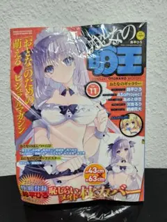 （最終値）おとなの萌王　Vol.11