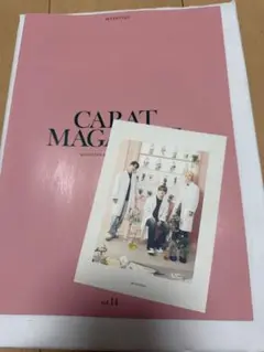CARAT MAGAZINE vol.14