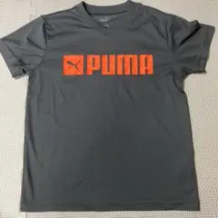PUMA グレー Vネック Tシャツ 140