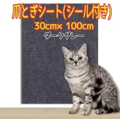 Item thumbnail for item 0c938816-3036-4926-beeb-36c792126b60