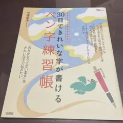 30日できれいな字が書けるペン字練習帳