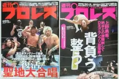 週刊プロレス No.2217★ロス・インゴ初戦快勝で復活!聖地大合唱