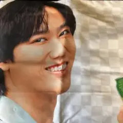 阿部亮平クッションカバー