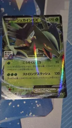 ジュカインEX：MマスターデッキビルドBOX PROMO XYシリーズプロモー…