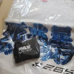 天羽希純 週プレコラボTシャツ KIKS TYO #2i2タオルセット KIKS TYO kikstyo tシャツ KIKSTYO KISUMI AMAU 週刊