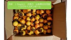 渋柿 15kg以上 訳あり 小ぶり 山梨県北杜市産 干し柿 さわし柿に 4
